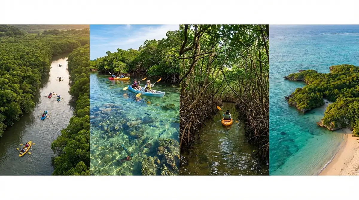 沖縄でマングローブカヤックができる4大エリアを比較