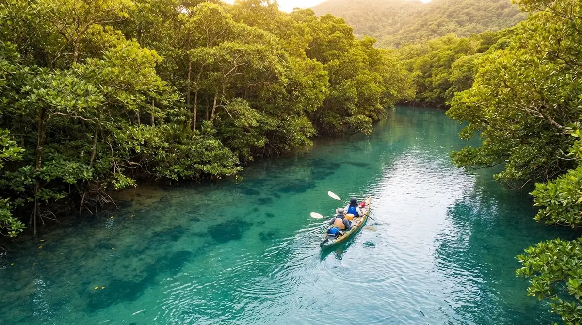 失敗しない!西表島カヤックショップの選び方5つのポイント