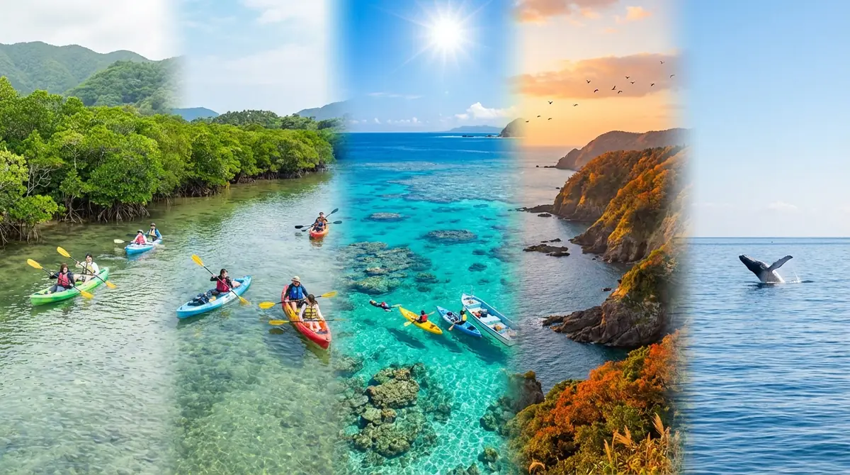 奄美大島カヤックのベストシーズンと季節ごとの楽しみ方